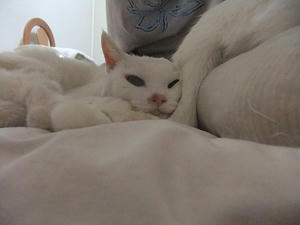 DSCF7405.JPG