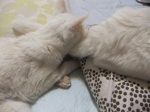 DSCF7552.JPG