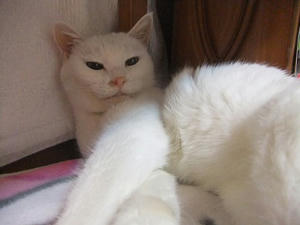 DSCF7180.JPG