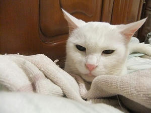 DSCF6787.JPG