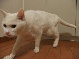 DSCF5252.JPG