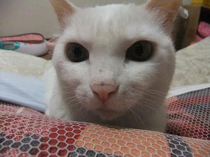 DSCF7174.JPG