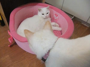 DSCF7161.JPG