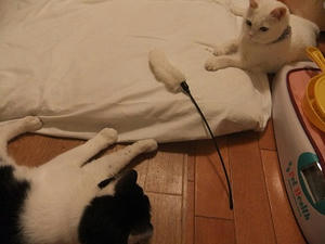 DSCF5738-1.jpg