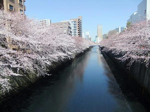 DSCF7798-1.jpg
