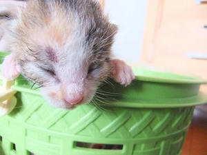 DSCF7862.JPG