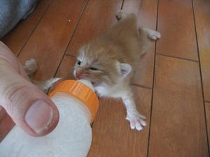 DSCF7928.JPG