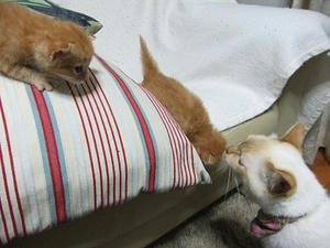 DSCF7987.JPG