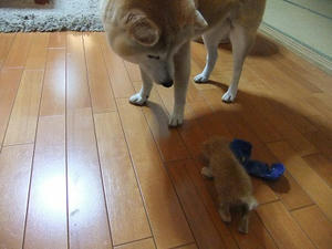 DSCF7952.JPG