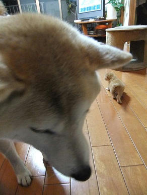 DSCF7947.JPG