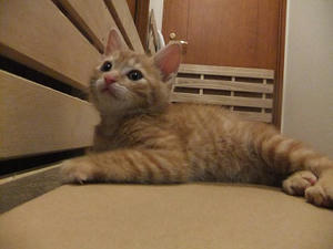 DSCF8217.JPG