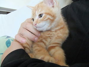 DSCF8273.JPG