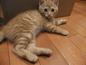 DSCF8209.JPG