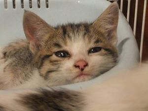 DSCF8205.JPG