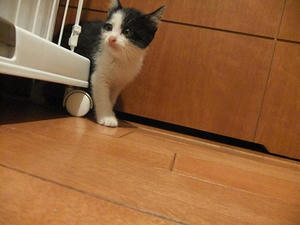DSCF8263.JPG