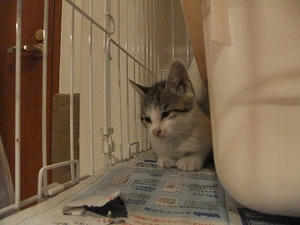 DSCF8241.JPG