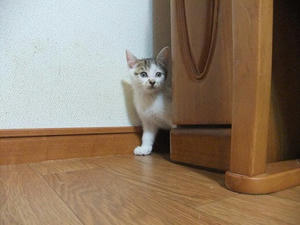 DSCF8337.JPG
