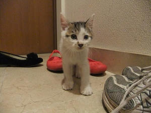 DSCF8262-2.jpg