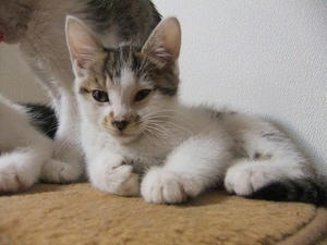 DSCF8410.JPG