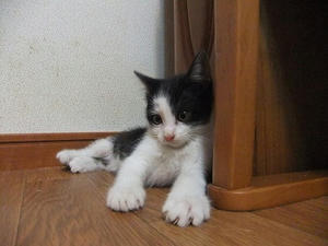 DSCF8336.JPG