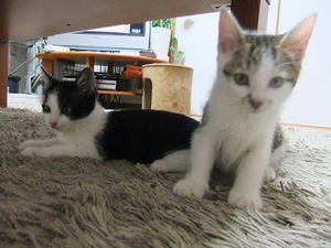 DSCF8487.JPG