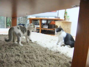 DSCF8488.JPG