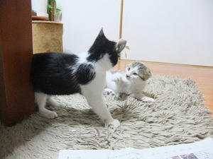 DSCF8490.JPG