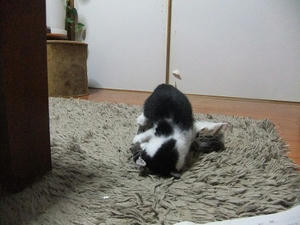 DSCF8489.JPG