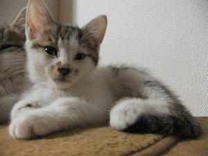 DSCF8415.JPG