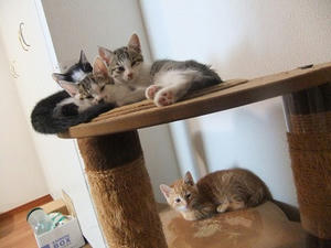 DSCF8386.JPG