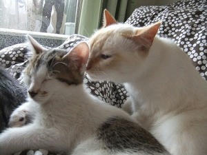 DSCF8516.JPG
