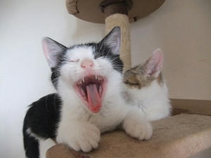 DSCF8552.JPG