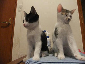 DSCF8569.JPG