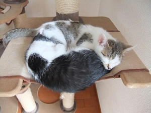 DSCF8579.JPG