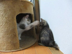 DSCF8624.JPG