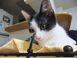 DSCF8630.JPG