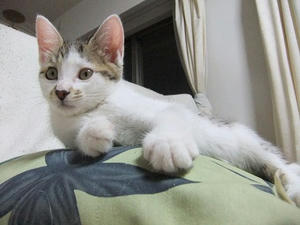 DSCF8629.JPG