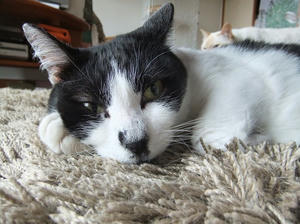 DSCF8576.JPG