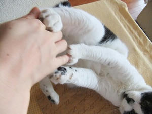 DSCF8539.JPG