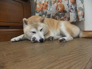 DSCF8324.JPG