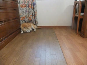 DSCF8325.JPG