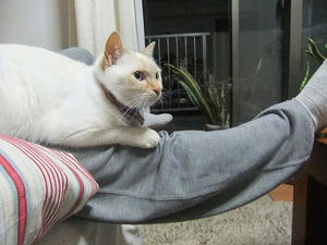DSCF7775.JPG