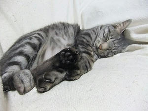 DSCF8590.JPG