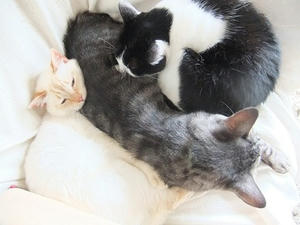 DSCF8107.JPG