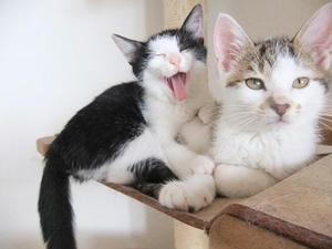 DSCF8550.JPG
