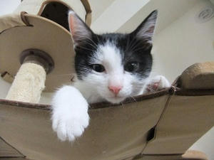 DSCF8617.JPG