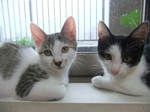DSCF8784.JPG