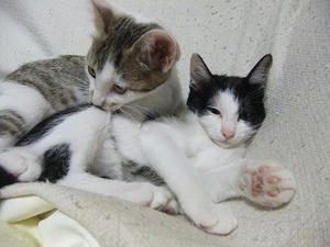 DSCF8744.JPG