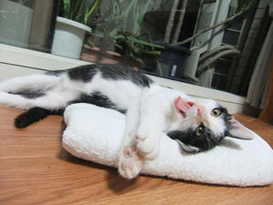 DSCF8767.JPG