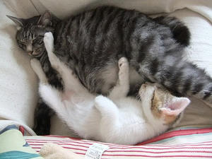 DSCF8643.JPG